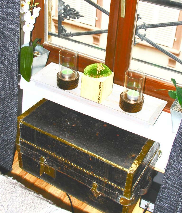 Le Moment Bleu Apartment Strasbourg Bagian luar foto