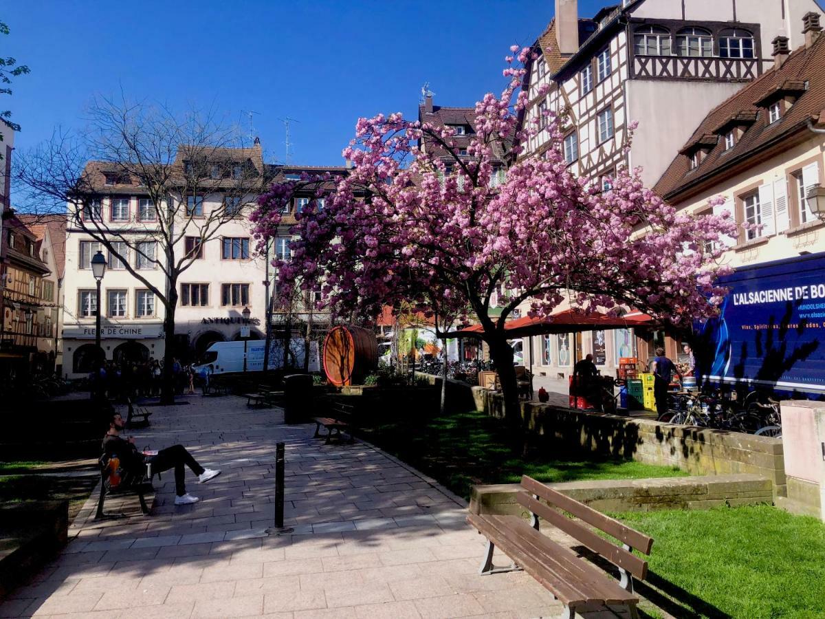 Le Moment Bleu Apartment Strasbourg Bagian luar foto