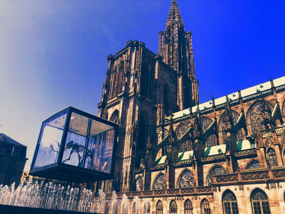 Le Moment Bleu Apartment Strasbourg Bagian luar foto
