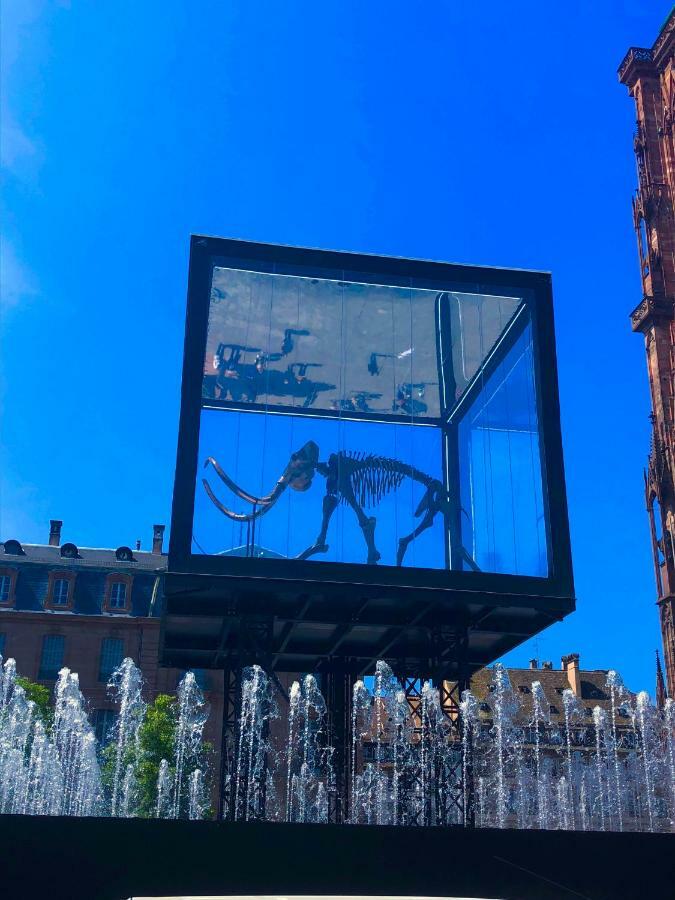 Le Moment Bleu Apartment Strasbourg Bagian luar foto
